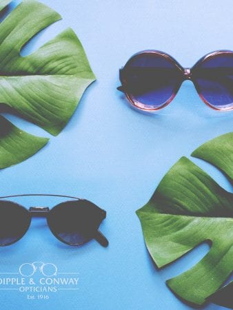 Glasses with leaves in background