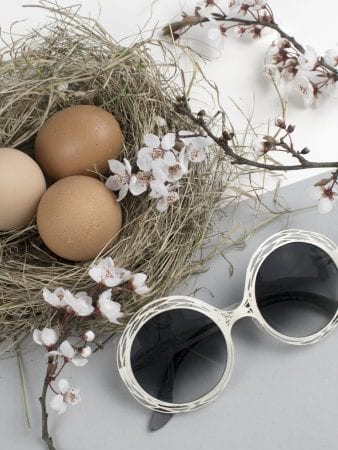 glasses with blossom and nest in background